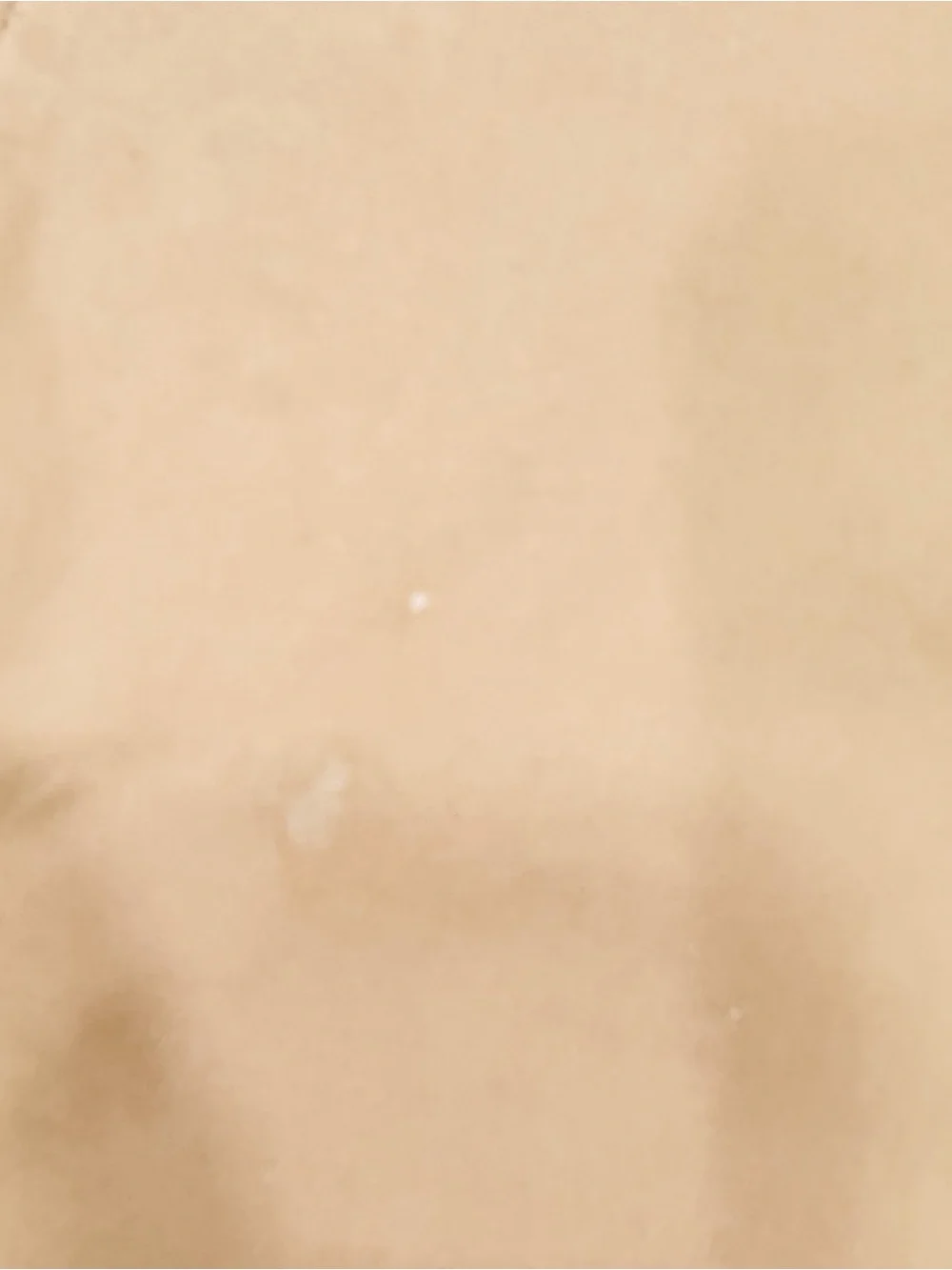 J. Crew Slim Chino Pants in Tan